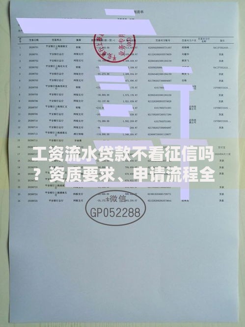 工资流水贷款不看征信吗？资质要求、申请流程全面解析