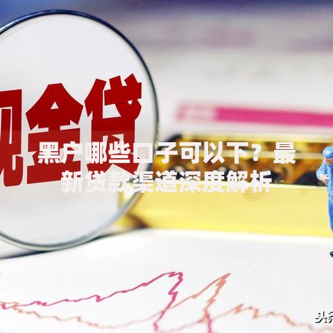黑户哪些口子可以下？最新贷款渠道深度解析