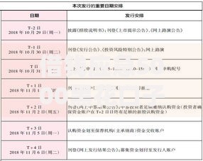 借钱应急5000黑花口子如何申请？风险与审核流程全解析