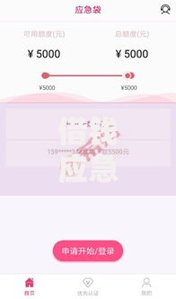 借钱应急5000黑花口子如何申请？风险与审核流程全解析