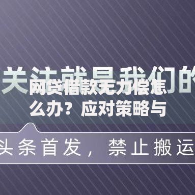 网贷借款无力偿怎么办？应对策略与法律保护深度指南