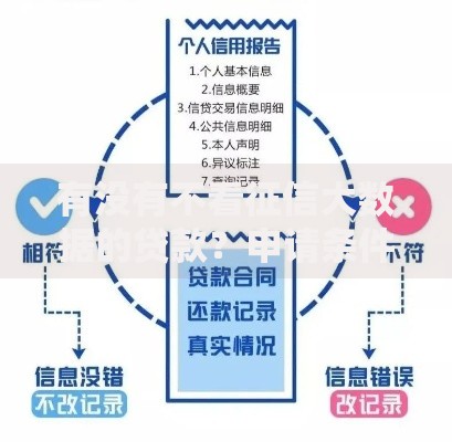 有没有不看征信大数据的贷款？申请条件及可靠渠道推荐