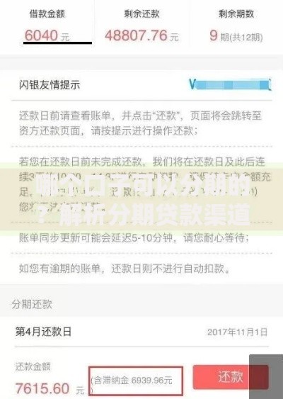 哪个口子可以分期的？解析分期贷款渠道与申请策略