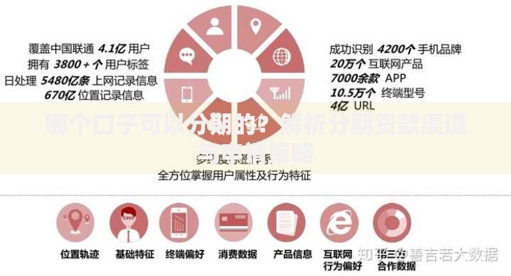哪个口子可以分期的？解析分期贷款渠道与申请策略