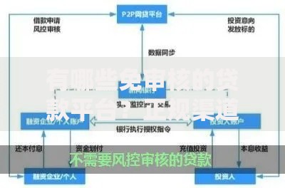 有哪些免审核的贷款平台？正规渠道与风险详解