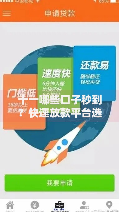 十一哪些口子秒到？快速放款平台选择攻略
