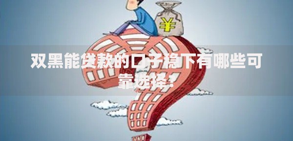 双黑能贷款的口子稳下有哪些可靠选择？