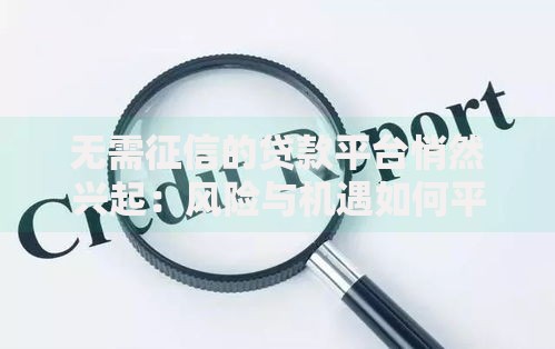 无需征信的贷款平台悄然兴起：风险与机遇如何平衡？