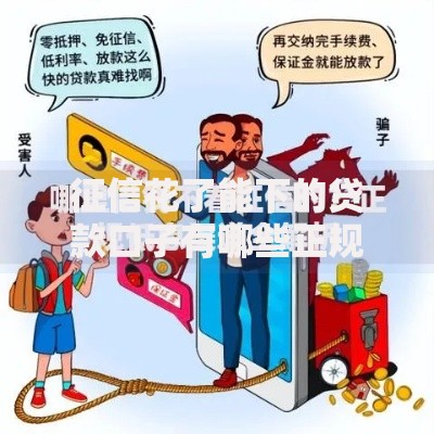 征信花了能下的贷款口子有哪些正规渠道？