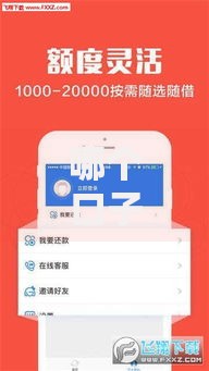 哪个口子秒通过？快速下款渠道解析与选择指南