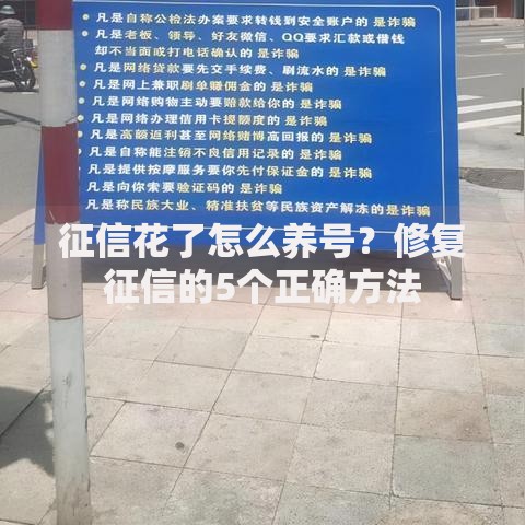 征信花了怎么养号？修复征信的5个正确方法