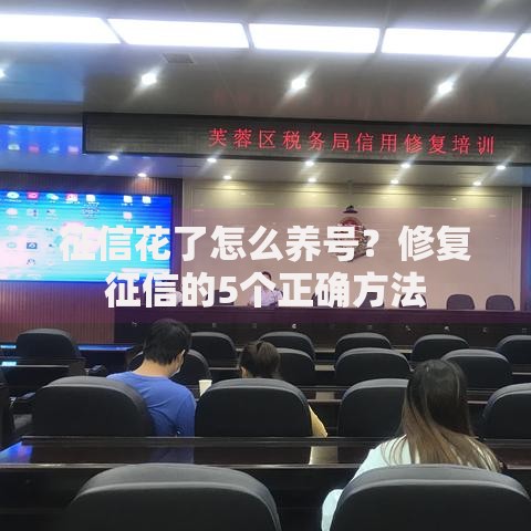 征信花了怎么养号？修复征信的5个正确方法