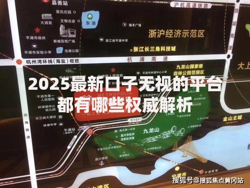 2025最新口子无视的平台都有哪些权威解析