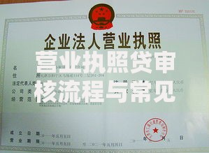 营业执照贷审核流程与常见问题解析
