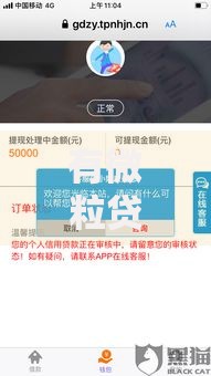 有微粒贷必下款的口子有哪些？深度解析正规平台推荐