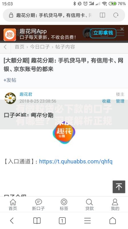 有微粒贷必下款的口子有哪些？深度解析正规平台推荐