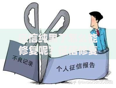征信纯黑了怎么能修复呢？征信修复权威指南