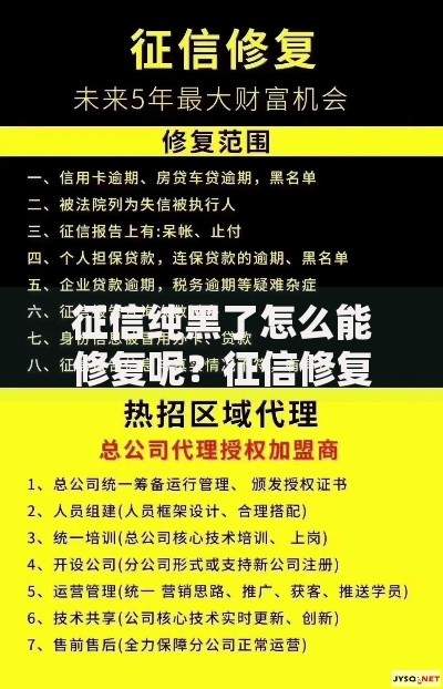 征信纯黑了怎么能修复呢？征信修复权威指南