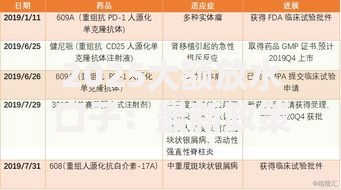 2025大额放水口子：最新政策与低息渠道深度解析