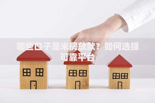 哪些口子是米房放款？如何选择可靠平台