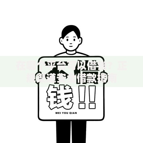 在哪个平台可以借钱？正规渠道安全借款指南