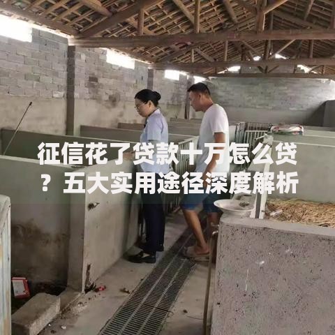 征信花了贷款十万怎么贷？五大实用途径深度解析