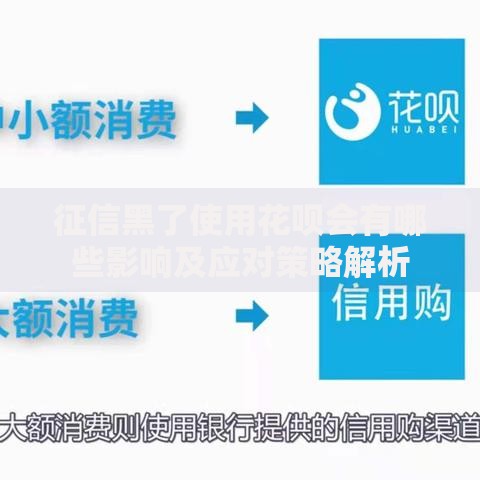 征信黑了使用花呗会有哪些影响及应对策略解析
