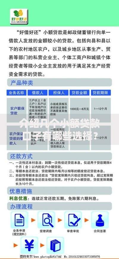 介绍几个小额贷款口子有哪些选择？