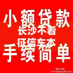 长沙不看征信车本贷业务深受市场欢迎：低门槛融资新选择？