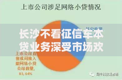 长沙不看征信车本贷业务深受市场欢迎：低门槛融资新选择？