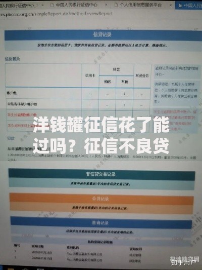 洋钱罐征信花了能过吗？征信不良贷款申请深度解析