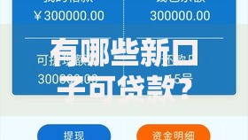 有哪些新口子可贷款？最新正规渠道深度解析