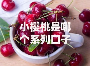 小樱桃是哪个系列口子？解析产品背景与用户选择技巧