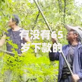 有没有65岁下款的口子？解析贷款年龄限制与合规渠道