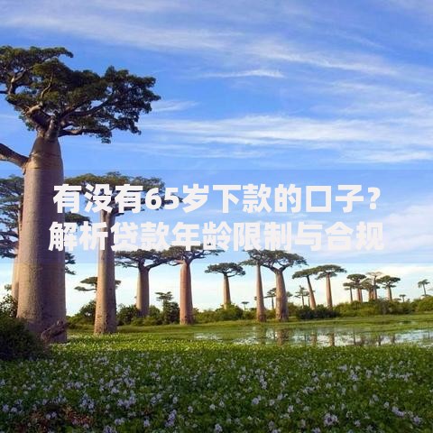 有没有65岁下款的口子？解析贷款年龄限制与合规渠道