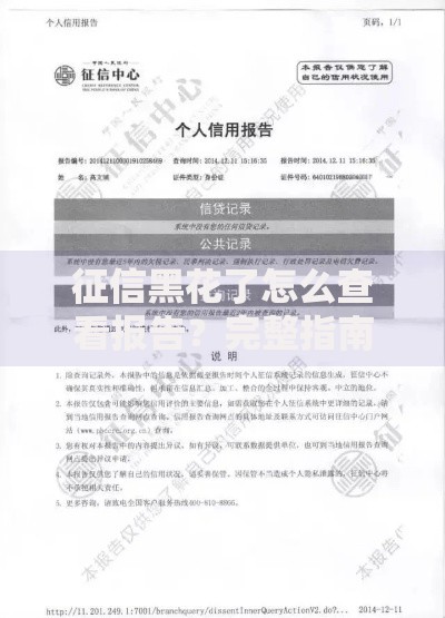 征信黑花了怎么查看报告？完整指南与修复建议