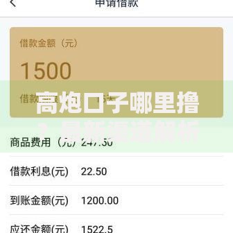 高炮口子哪里撸？最新渠道解析与风险防范指南