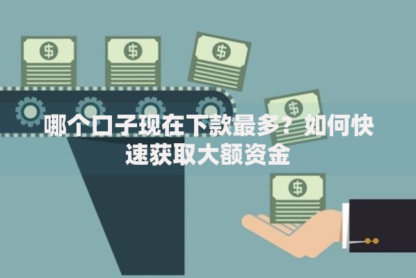 哪个口子现在下款最多？如何快速获取大额资金