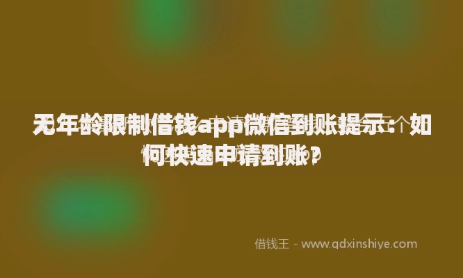 无年龄限制借钱app微信到账提示：如何快速申请到账？