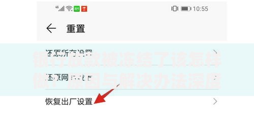银行放款被冻结了该怎样做？原因与解决办法深度解析