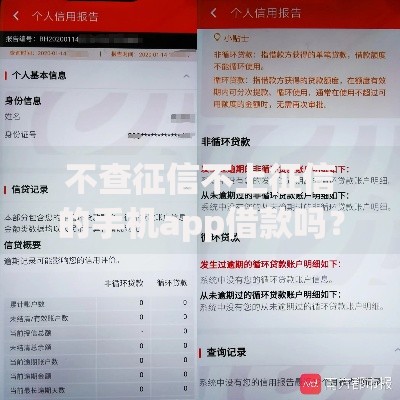 不查征信不上征信的手机app借款吗？真实情况深度解析