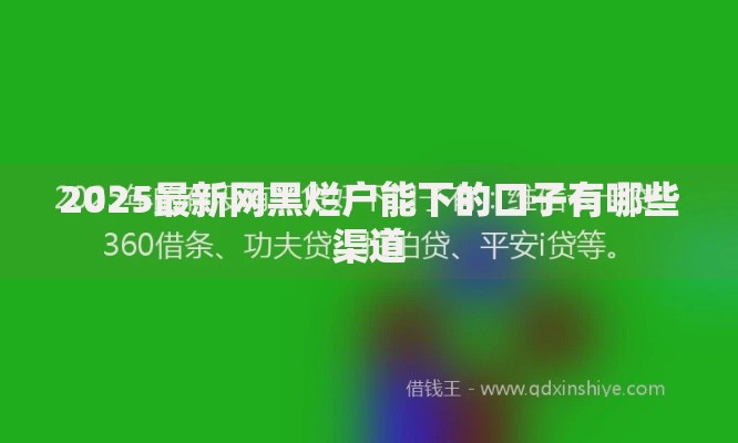 2025最新网黑烂户能下的口子有哪些渠道