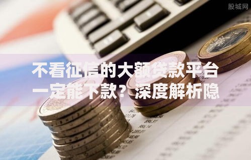 不看征信的大额贷款平台一定能下款？深度解析隐藏风险与真相
