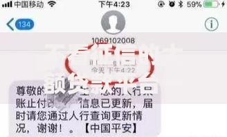 不看征信的大额贷款平台一定能下款？深度解析隐藏风险与真相