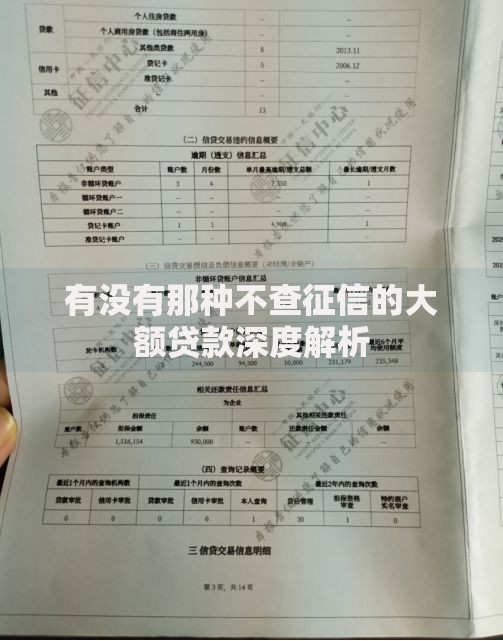 有没有那种不查征信的大额贷款深度解析