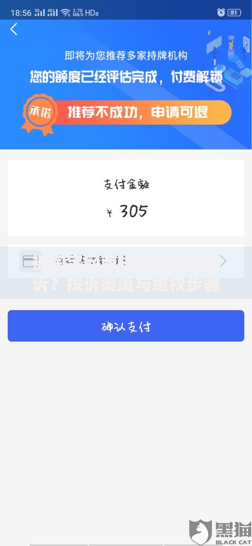 被淘宝网商贷电话怎么投诉？投诉渠道与维权步骤解析