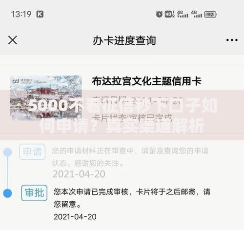 5000不看征信秒下口子如何申请？真实渠道解析
