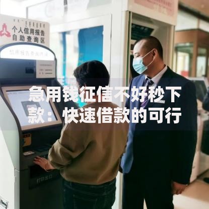 急用钱征信不好秒下款：快速借款的可行性方案