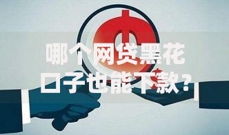 哪个网贷黑花口子也能下款？深度解析黑户贷款风险与应对策略