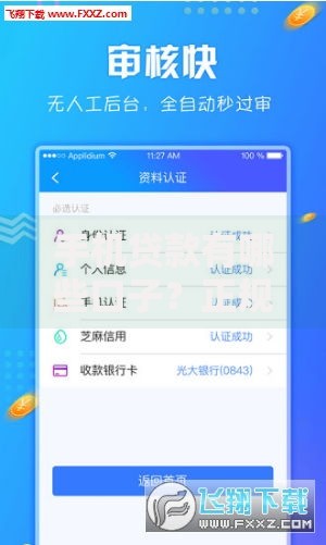 手机贷款有哪些口子？正规渠道选择与申请攻略